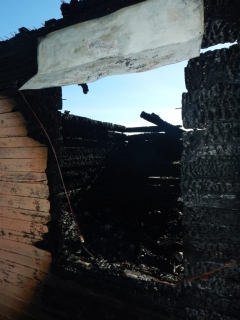 В Хабаровском крае возбуждено уголовное дело по факту смерти трех малолетних детей и женщины во время пожара в садоводческом товариществе